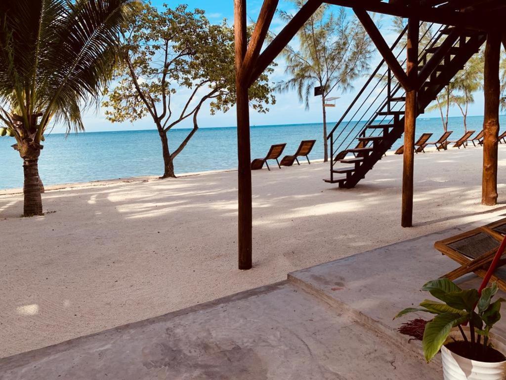 Bon Vivant Front De Mer - Ile Rodrigues Port Mathurin Exterior foto